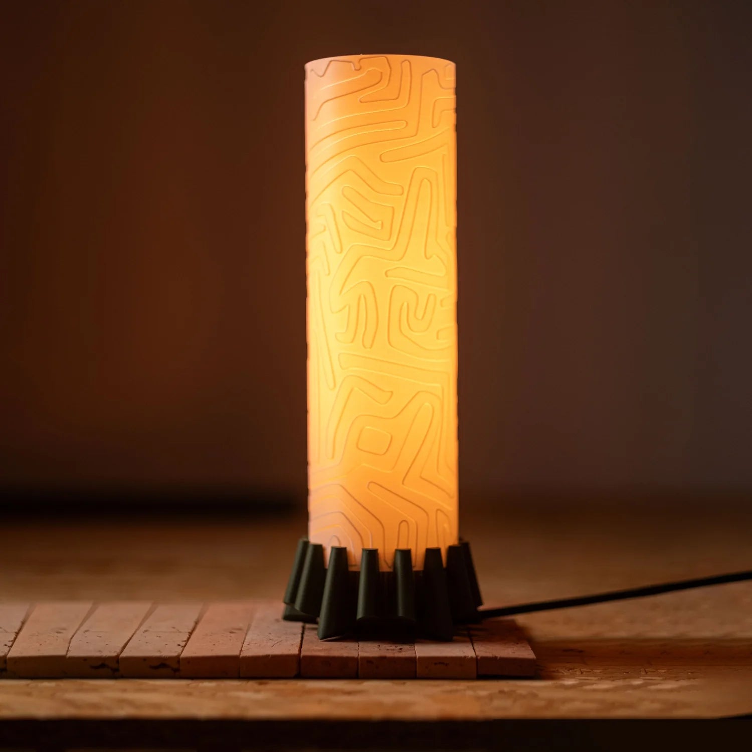 Amoebas   ||   Digital File