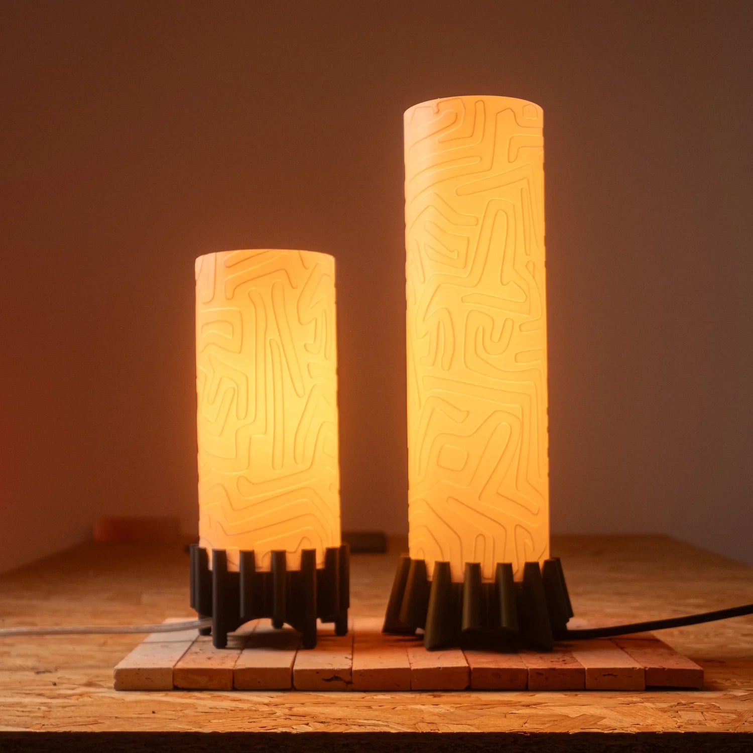 Amoebas   ||   Digital File