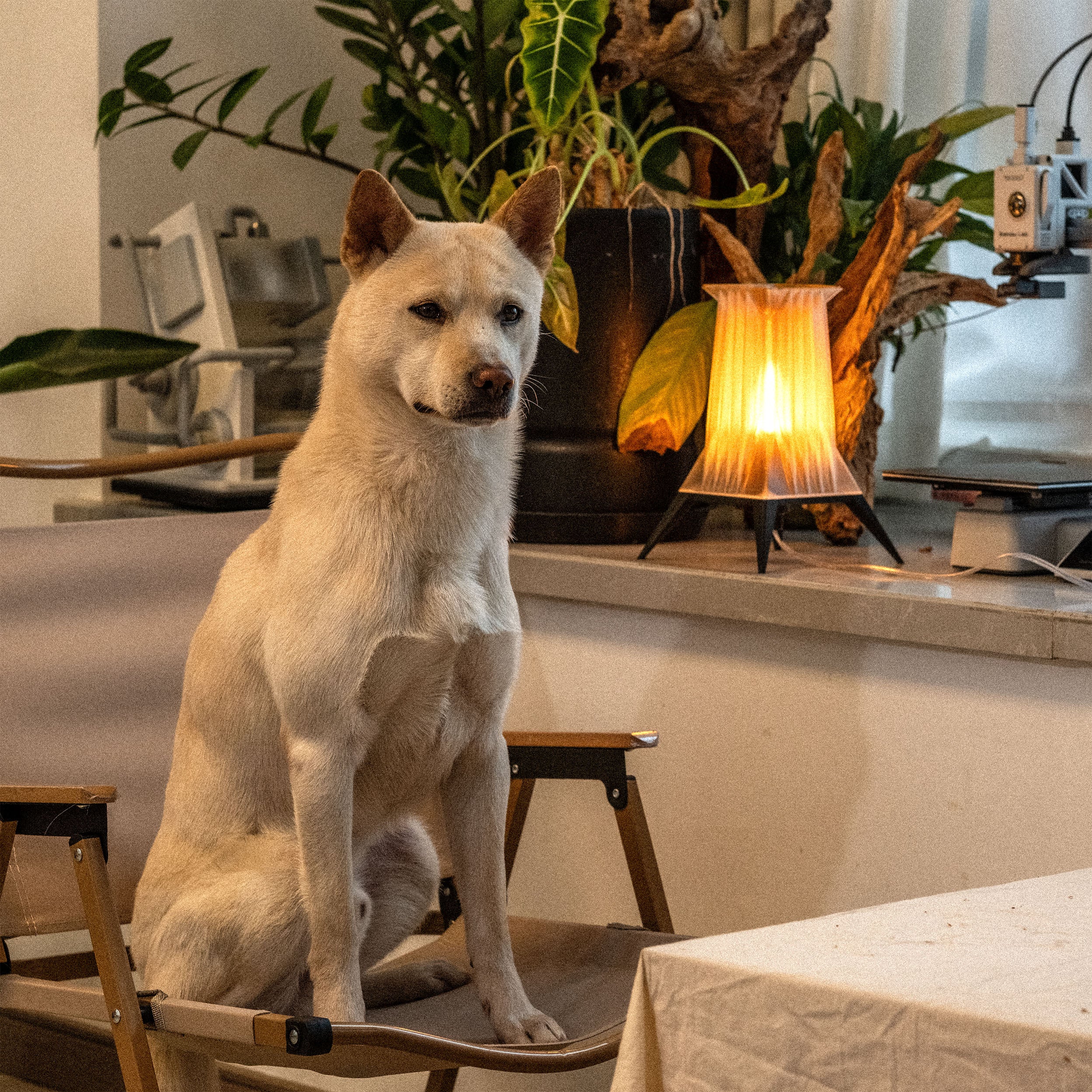 Babylon   ||   Digital File