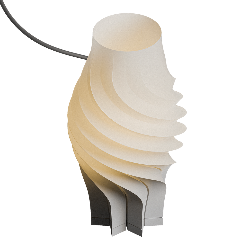 Cocoon   ||   Digital File